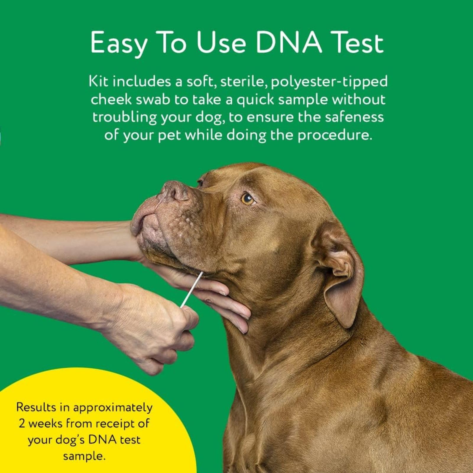 DNA MY DOG heritage-350-breeds image shows expansive breed catalog for accurate identification