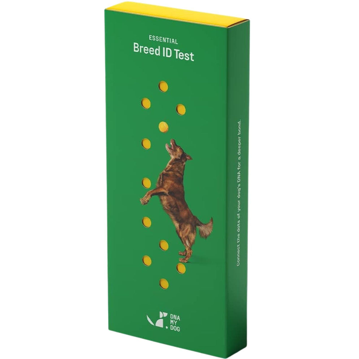 DNA MY DOG kit-unboxing highlights easy setup and ready to use cheek swab