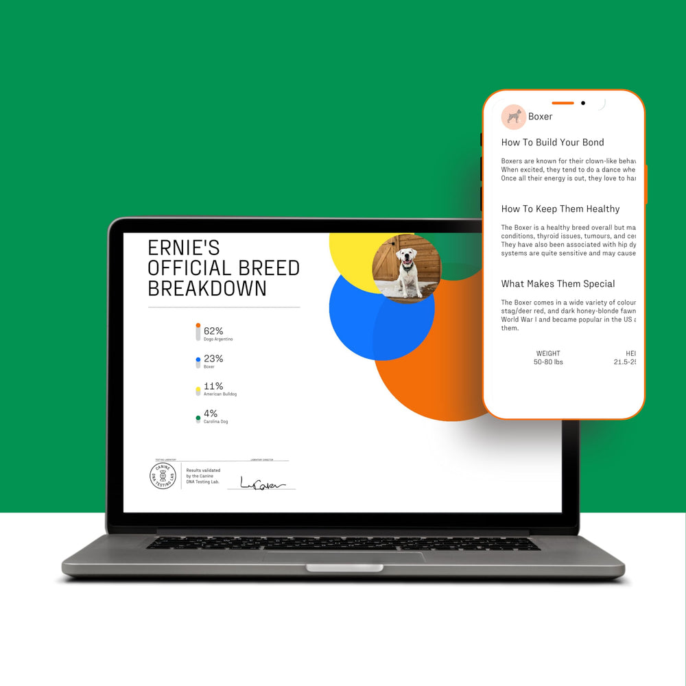 DNA MY DOG results-online-dashboard provides clear breed breakdown and simple certificate access