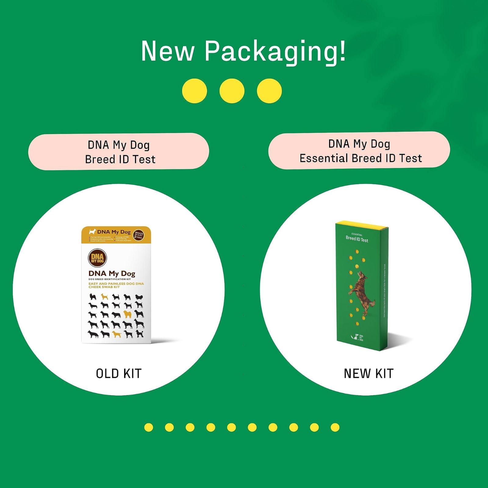 DNA MY DOG training-bonding-tips guides tailored training to breed traits and relationship building