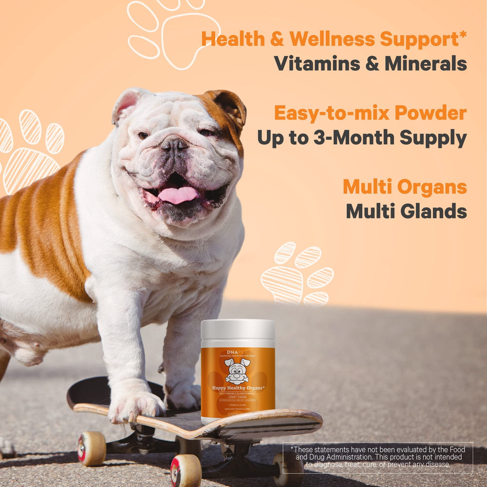 DNA PET Happy Healthy Organs dog enjoying food with supplement mixed in.