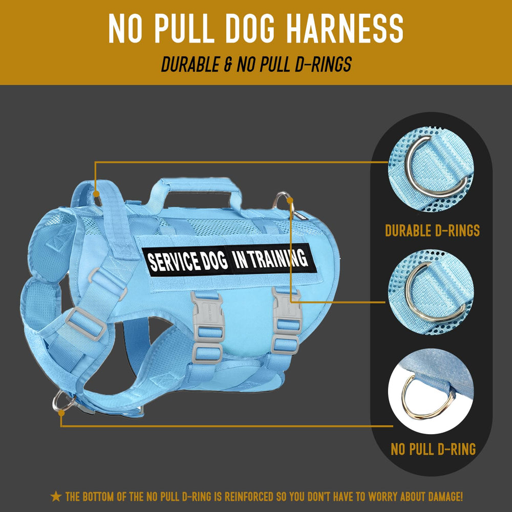 Dnallrino MOLLE system vest with patch area for personalized service gear.