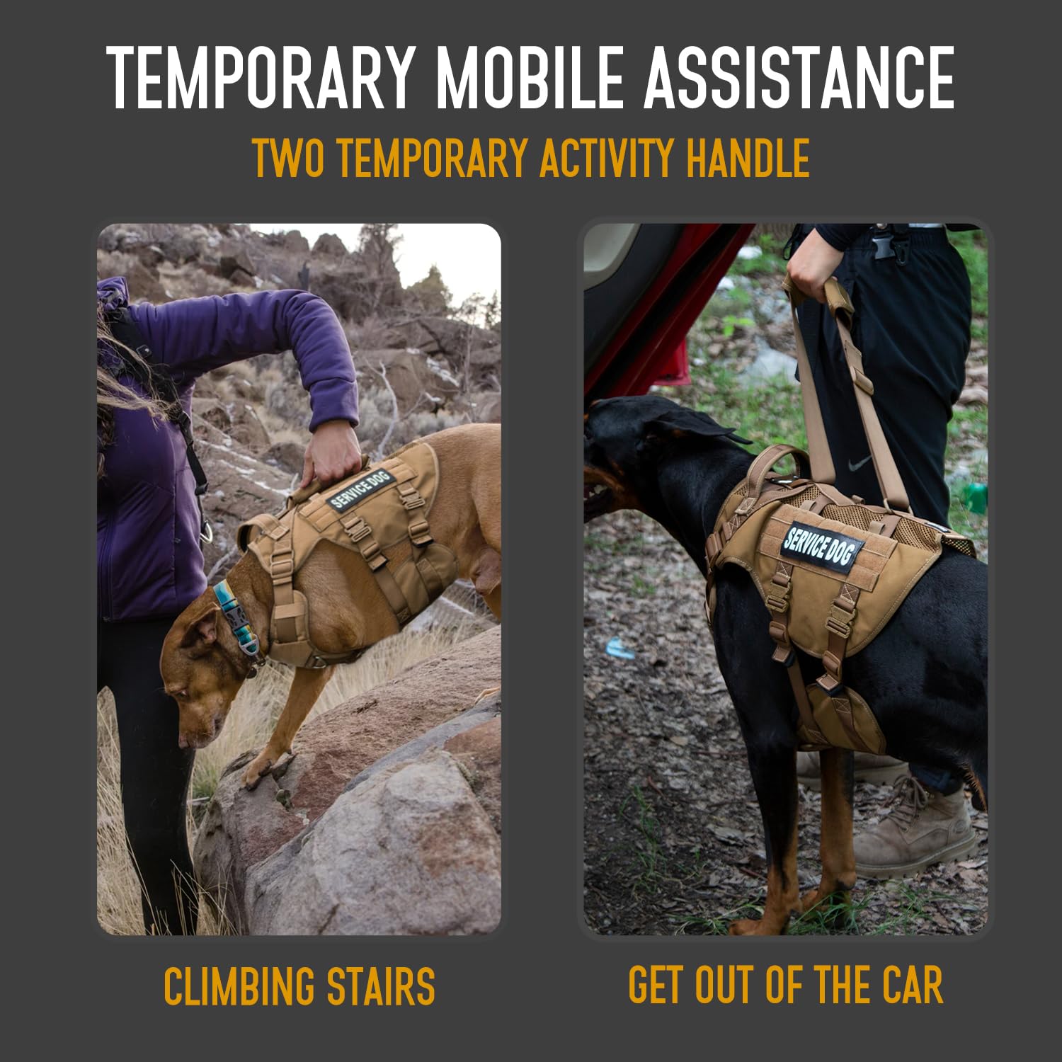 Dnallrino adjustable straps and lightweight buckles ensure a secure fit.