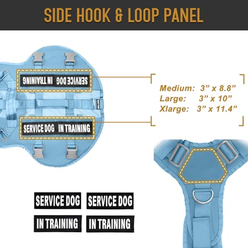Dnallrino service dog vest showing dual padded handles for quick guidance.