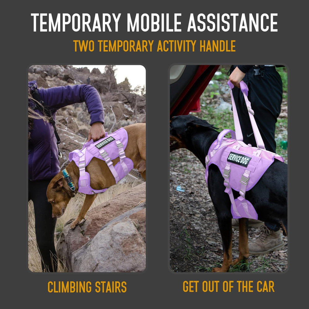 Dnallrino service dog vest back-views with molle carrier conveys field-ready use and gear options.