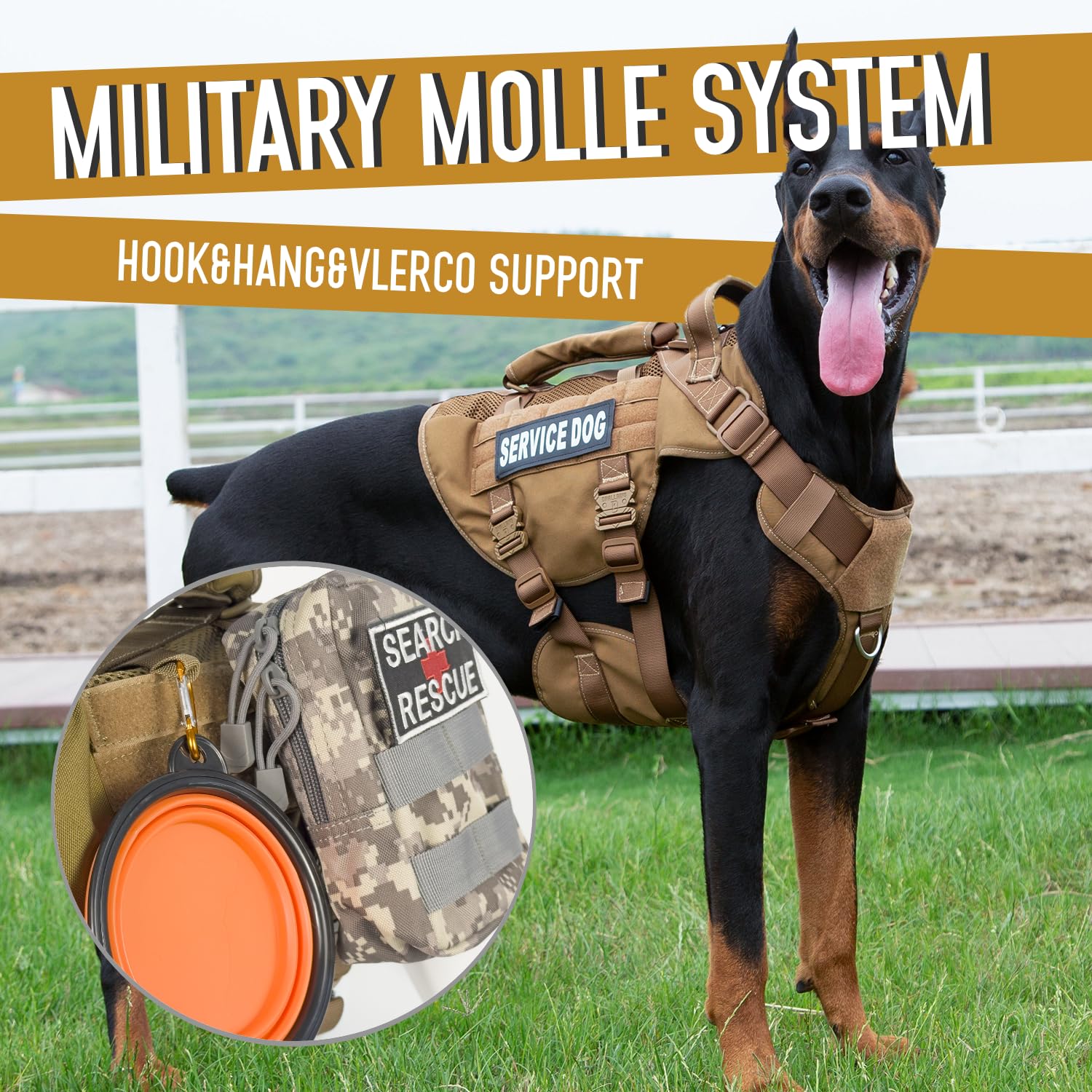 Dnallrino MOLLE panel with patches for carrying add-on gear.