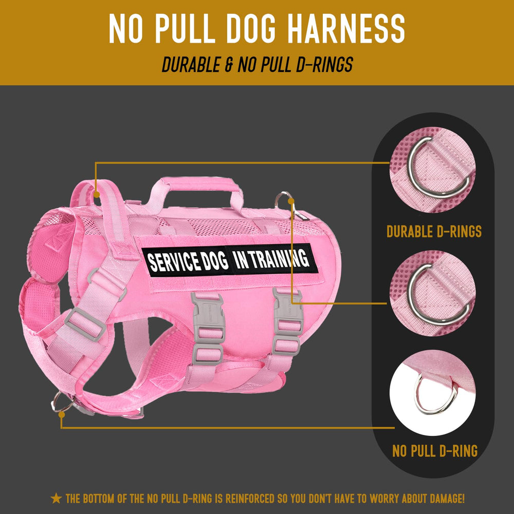 Dnallrino service-dog vest with MOLLE system for ready-to-carry patches and essentials