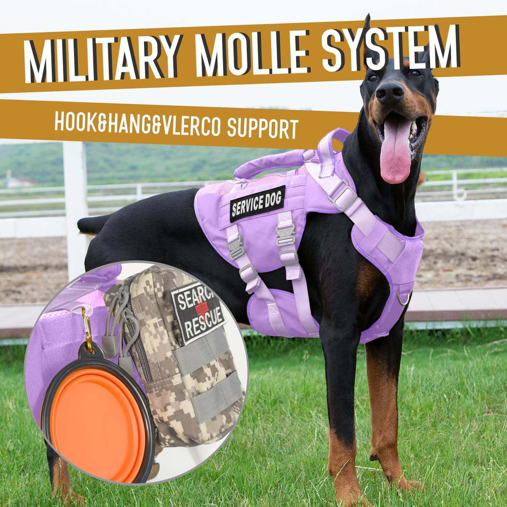 Dnallrino service dog vest patch-panel closeup shows patches and service badge for identification.