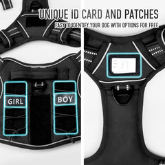 Dnallrino harness MOLLE side view for customization