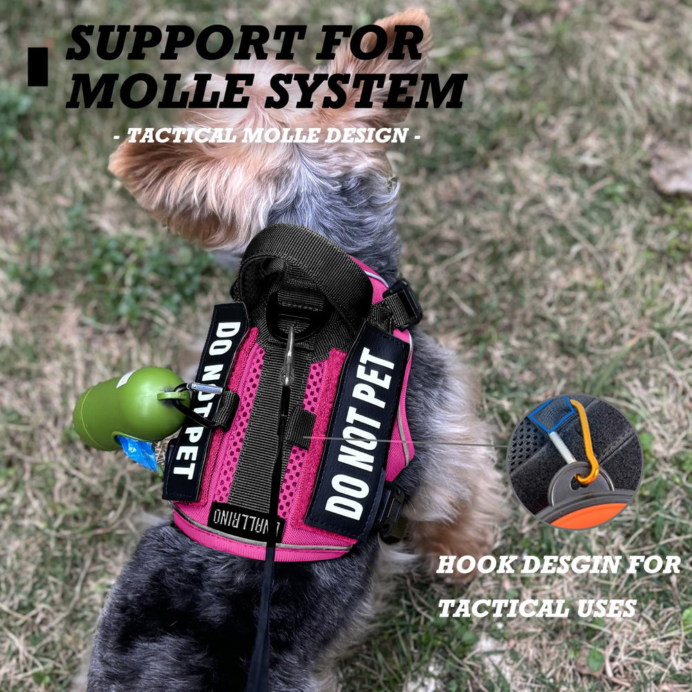 Dnallrino patch close-up showing removable DO NOT PET patch to reduce pet handling stress.