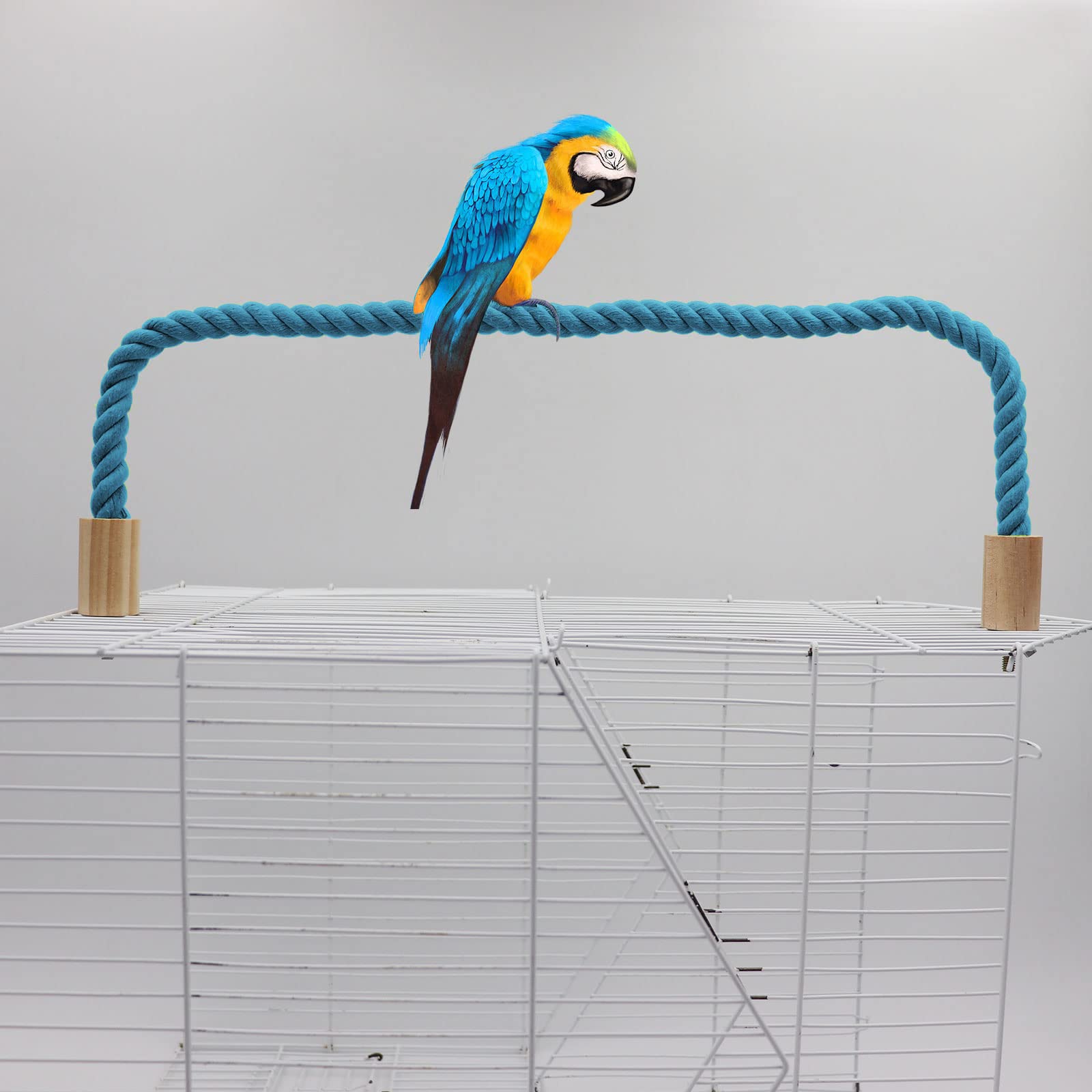 Dnoifne perch installed inside cage with a parrot demonstrating balance.