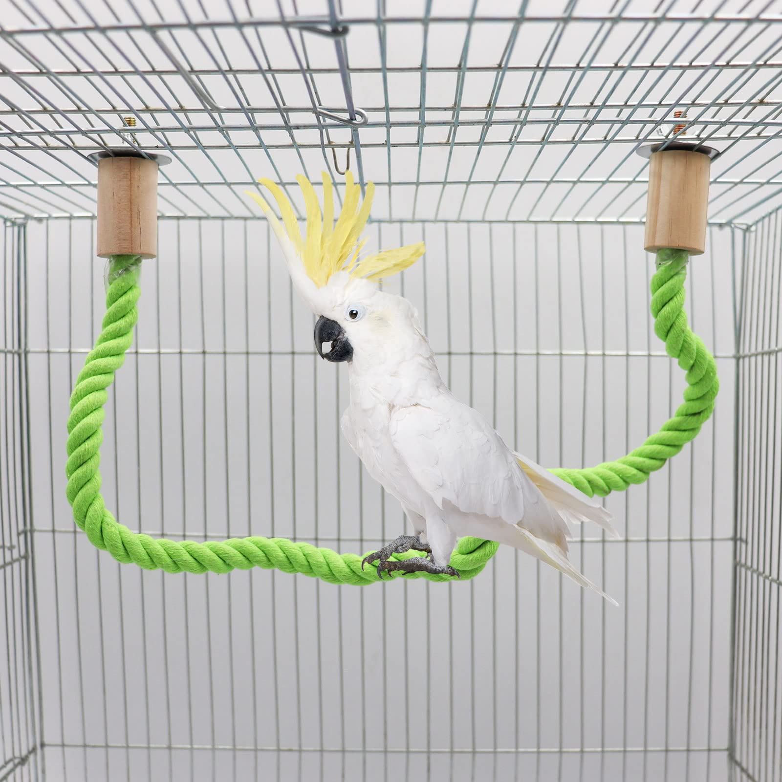Dnoifne bird rope swing inside cage demonstrates secure installation with washers and nuts.