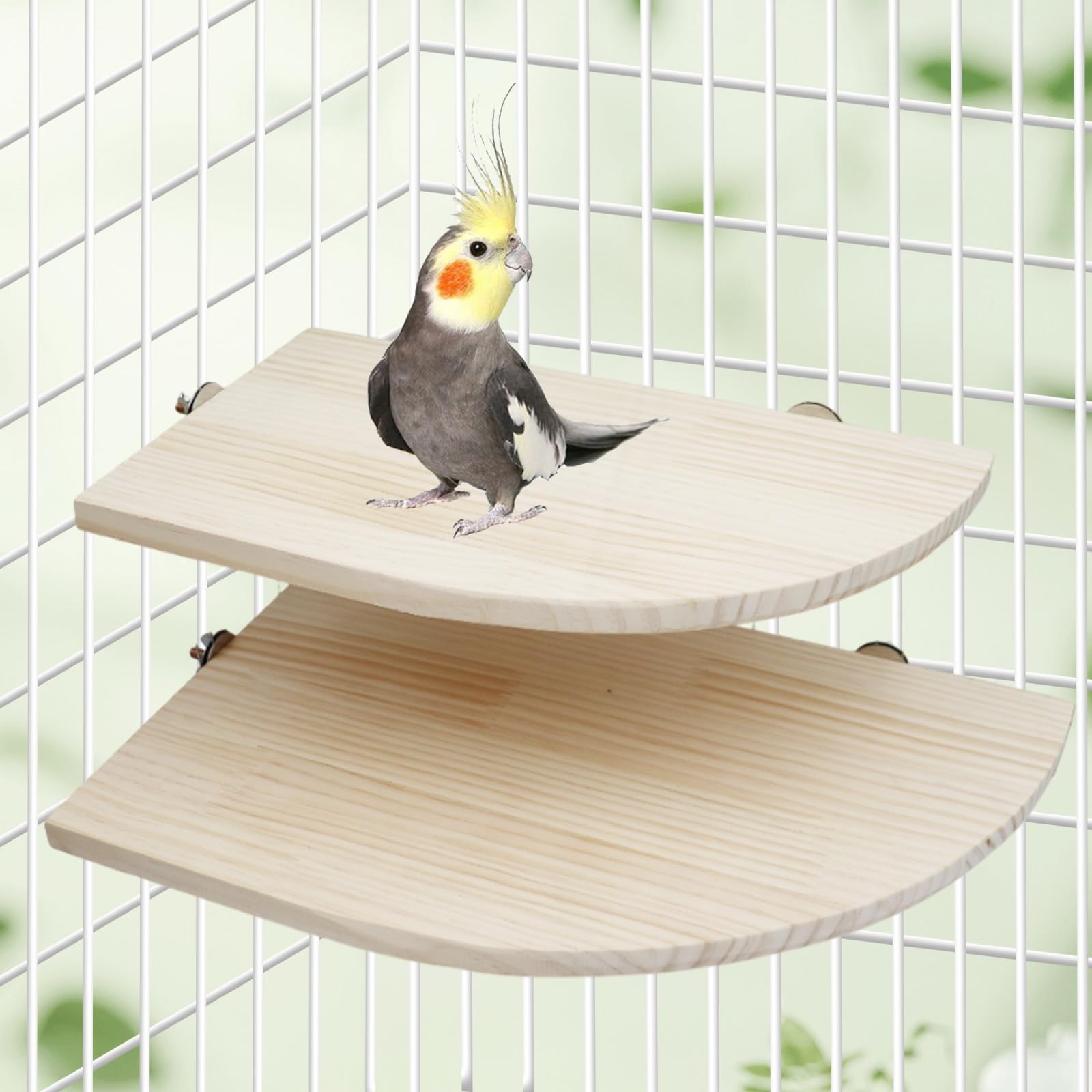 Dnoifne cage-accessory-stand-parrots demonstrates versatility as a perch and enrichment for various species.
