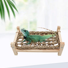 Dnoifne Lizard rest den demonstrates ventilation and relaxation.