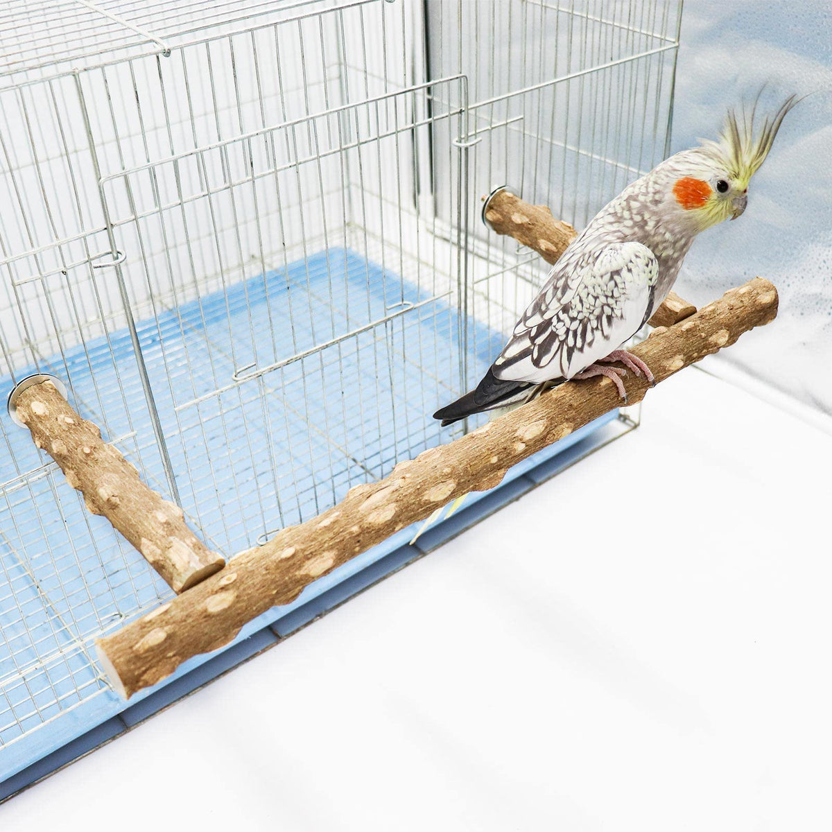 Dnoifne pepper wood parrot stand branch shows natural grip for secure perching.