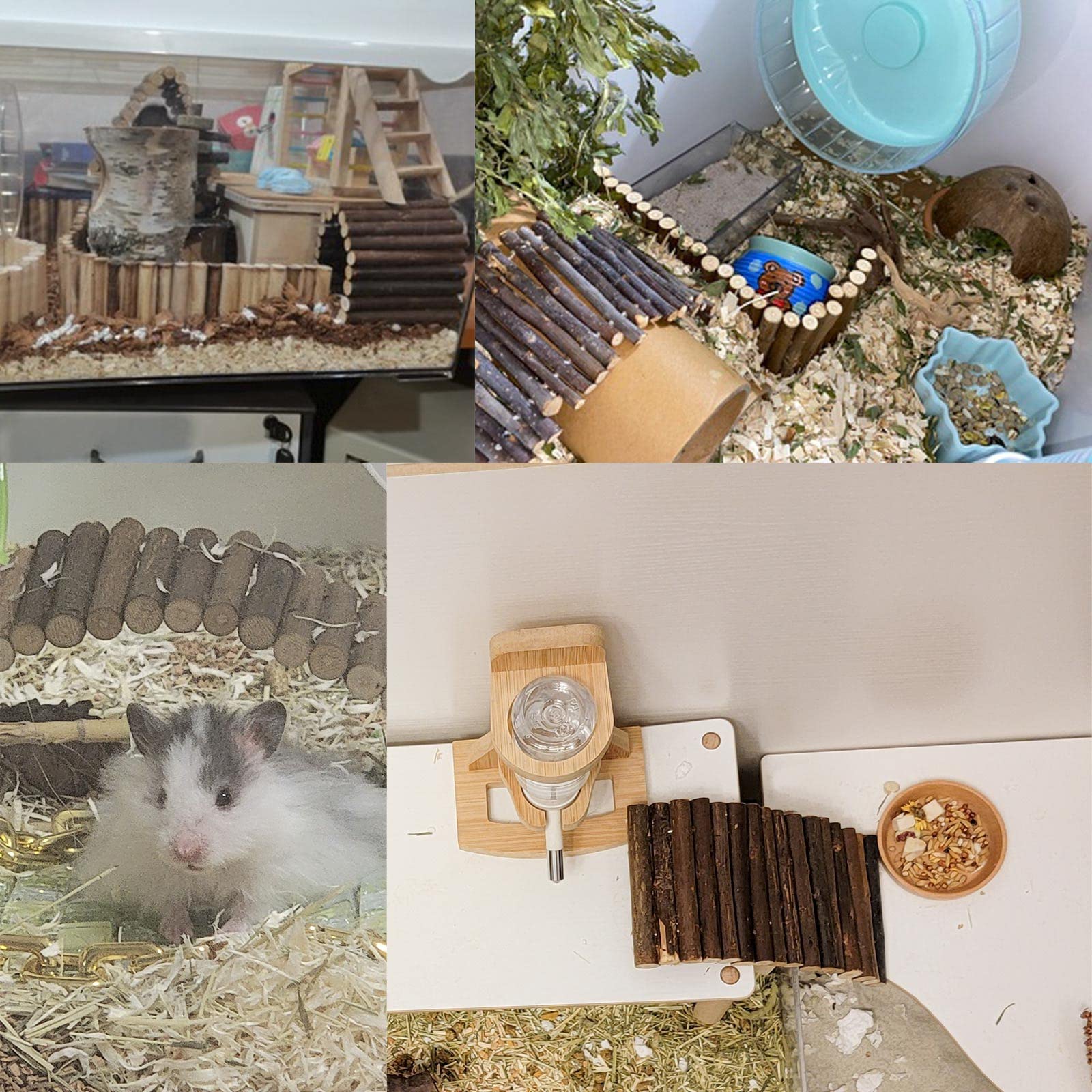 Dnoifne pet climbing toy wide-application suits tortoises, hamsters, guinea pigs for enrichment.