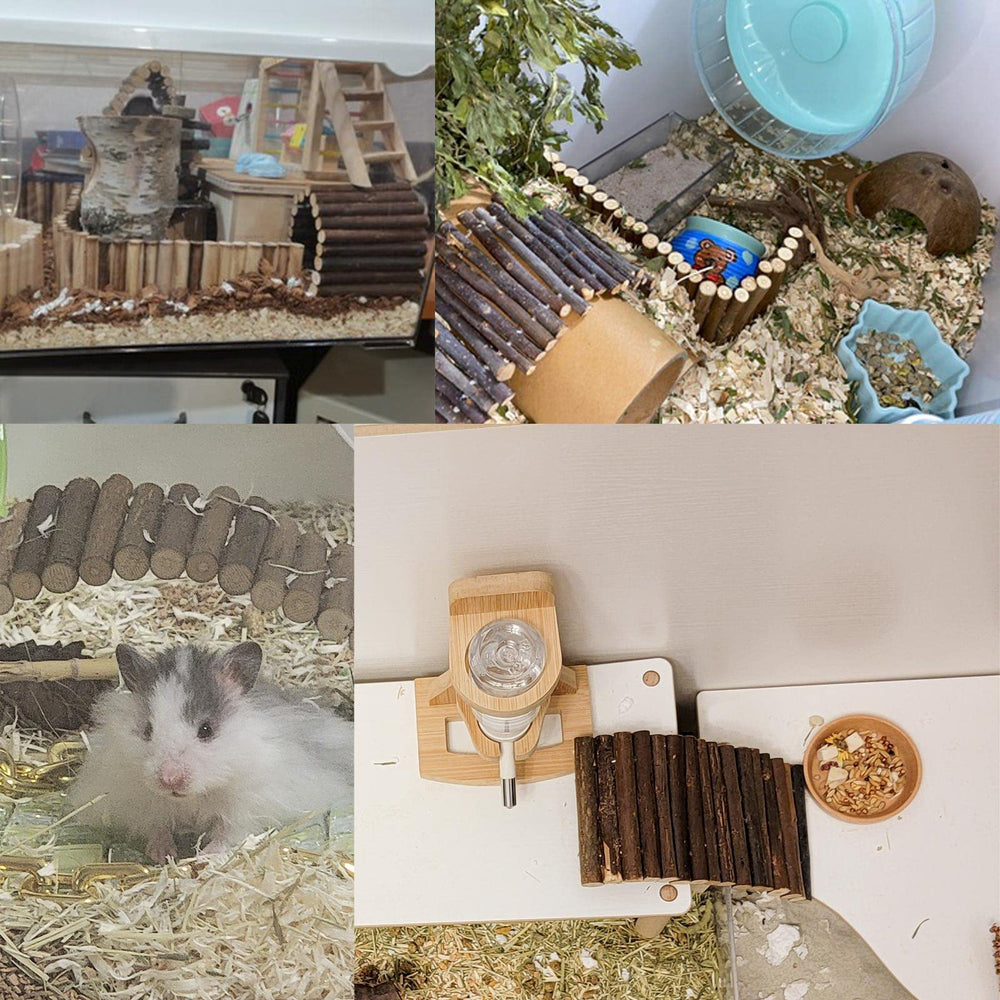 Dnoifne pet climbing toy wide-application suits tortoises, hamsters, guinea pigs for enrichment.