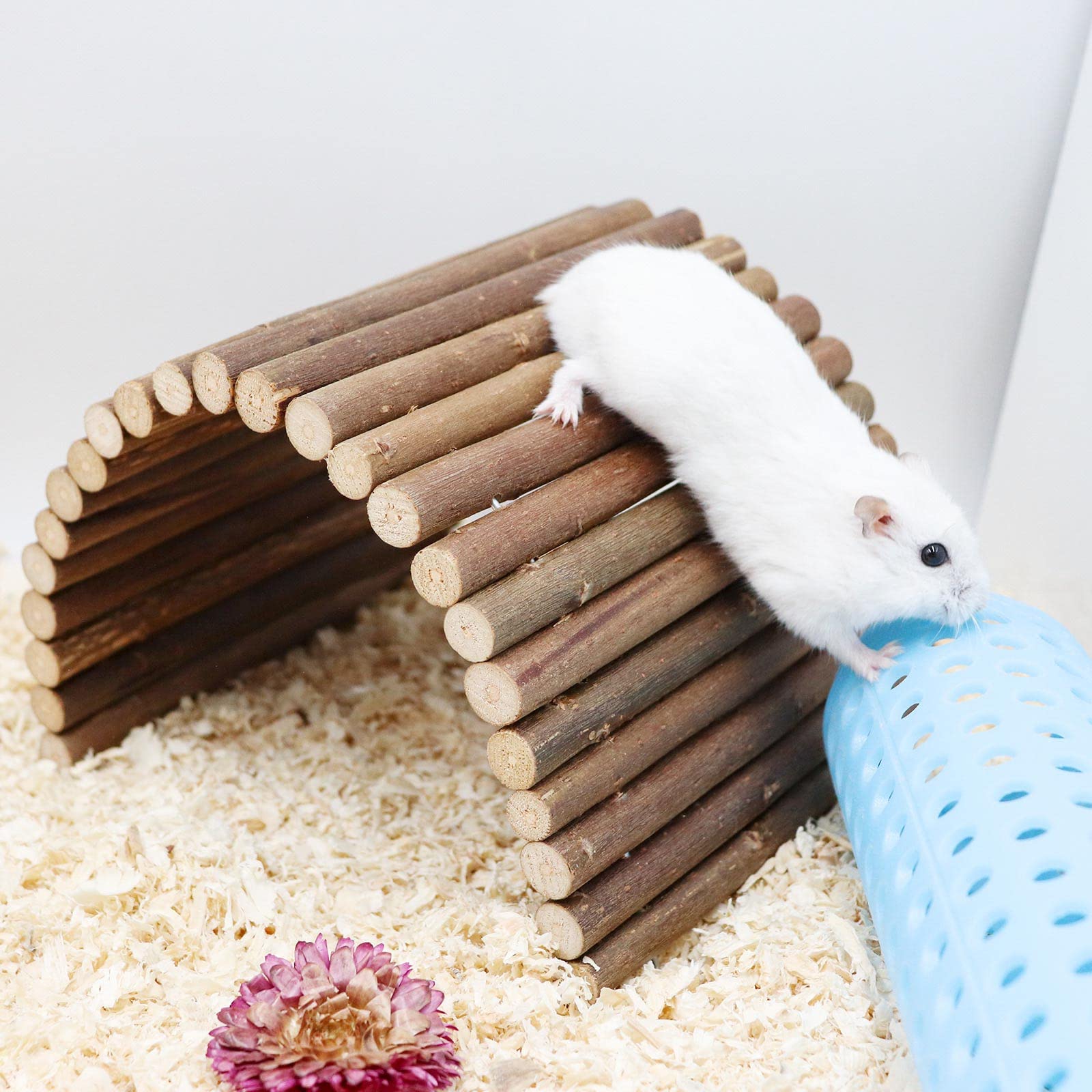 Dnoifne small animals cage accessory hideout offers convenient play, rest, and privacy.