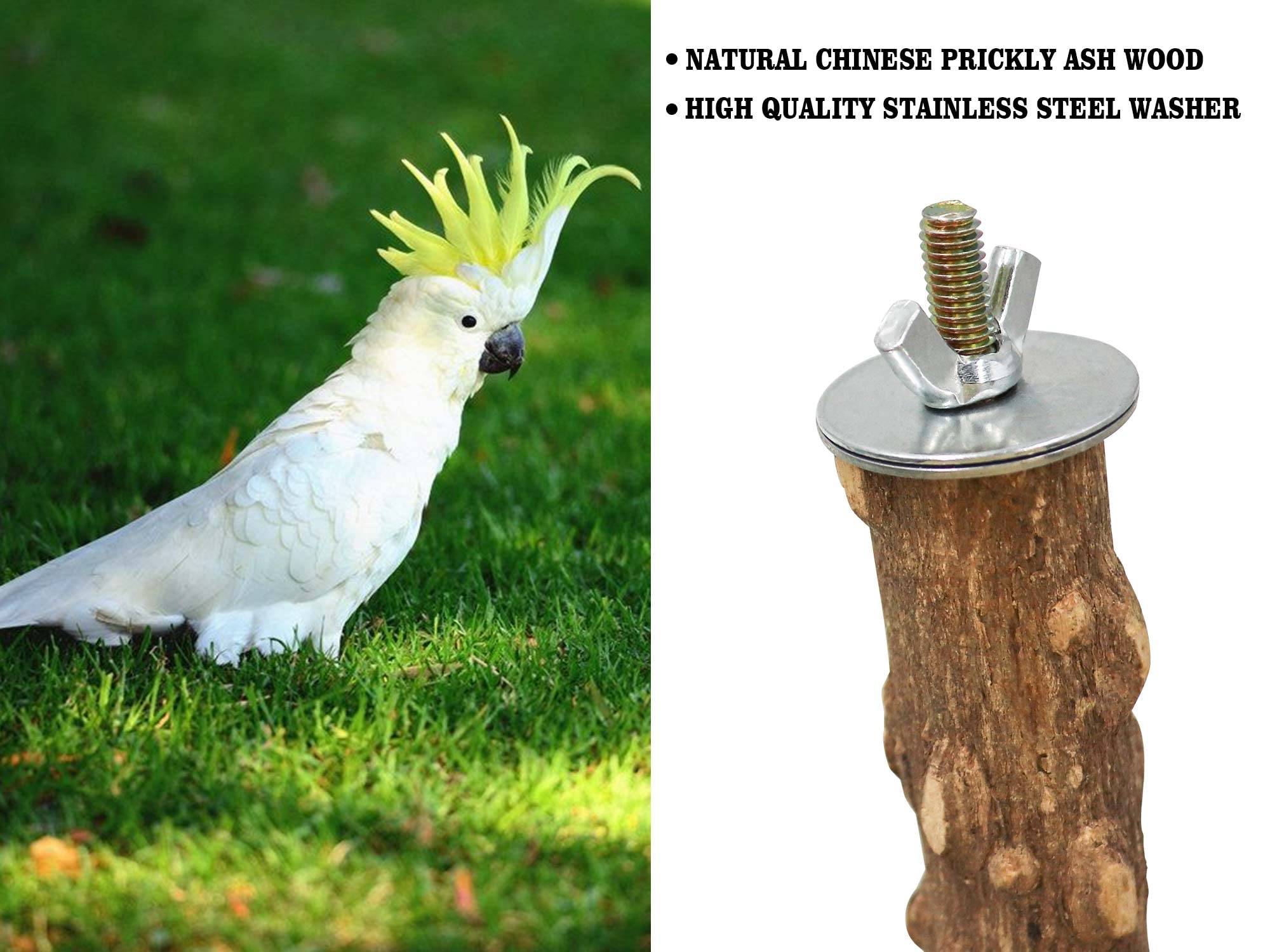 Dnoifne versatile perch fits parakeets, cockatiels, conures, and more.