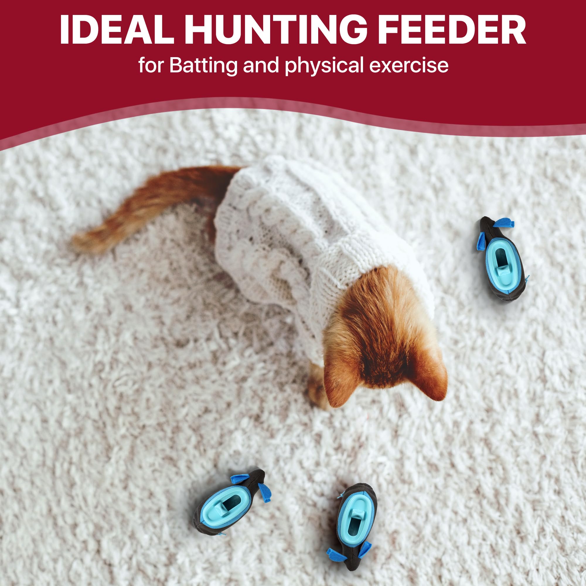 Doc & Phoebe's SPOT durable design withstands curious paws and playful pounces.