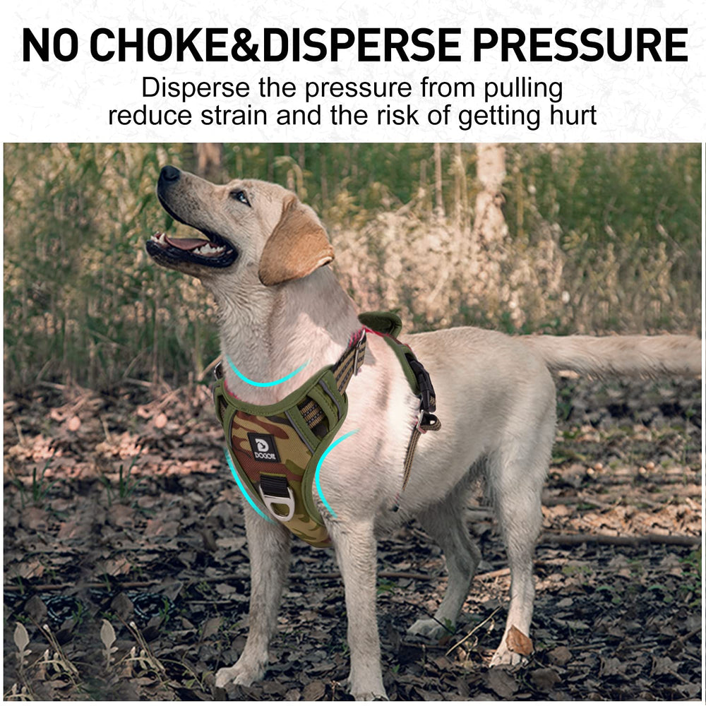 Dociote reflective stitching keeps dogs visible at night