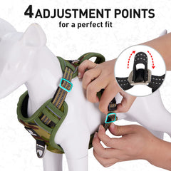 Dociote harness shows dual leash clips for versatility