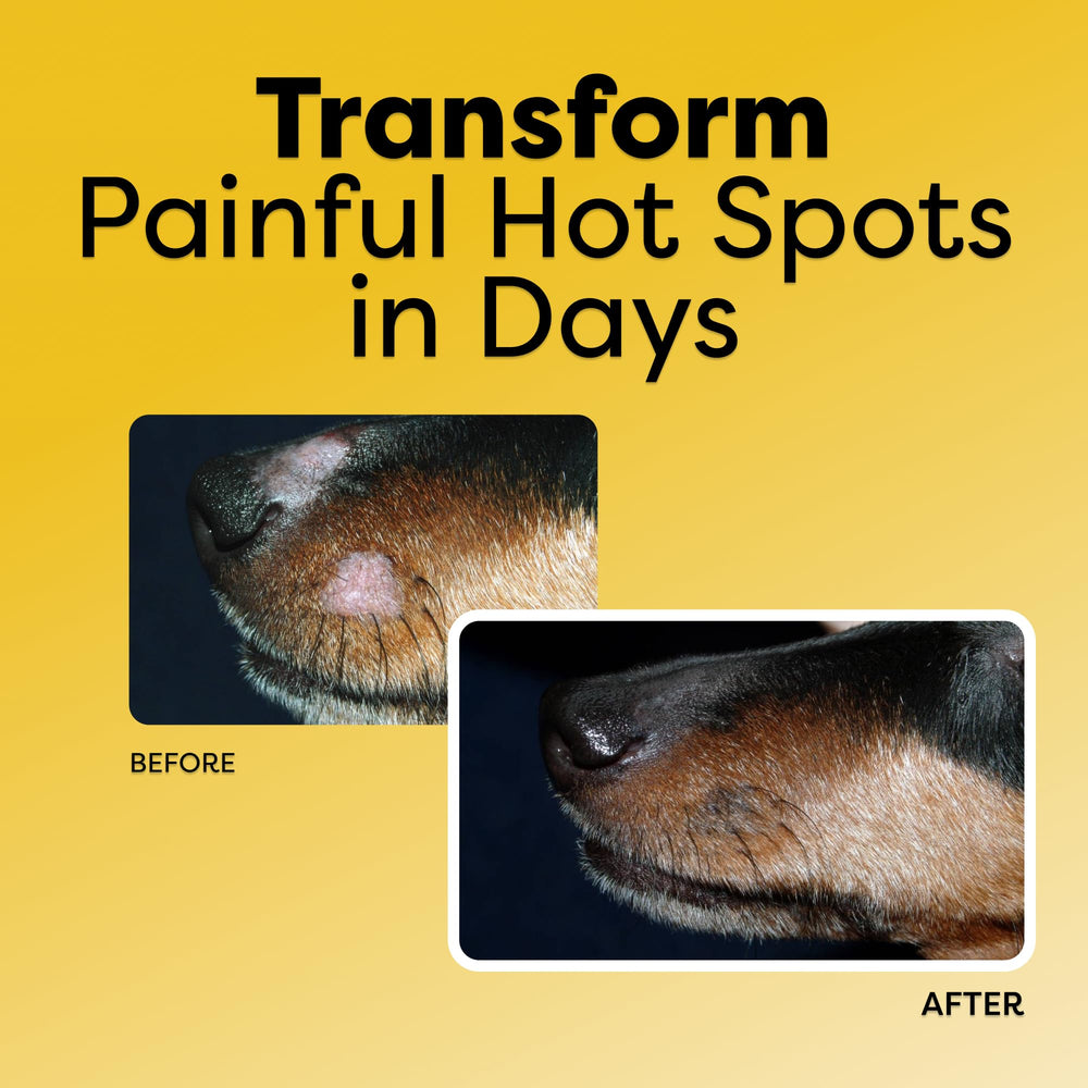 DocItchy Allergy Armor leave-in application on the coat supports flexible grooming routines