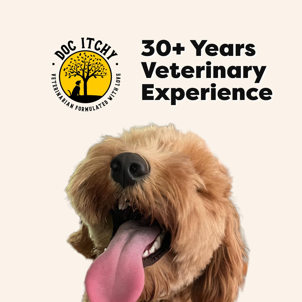 DocItchy Allergy Armor packaging highlights vet-derm formulation for sensitive skin