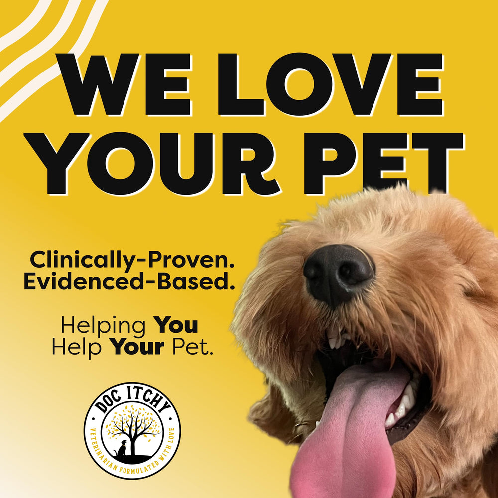 Doc Itchy immune-support theme visual suggests overall wellbeing for dogs.