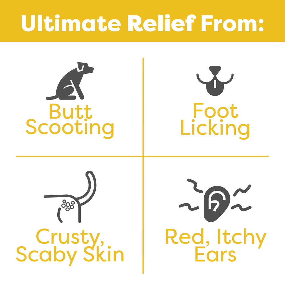 Doc Itchy itch relief chews taste demonstrates a tasty bite for easy dosing.