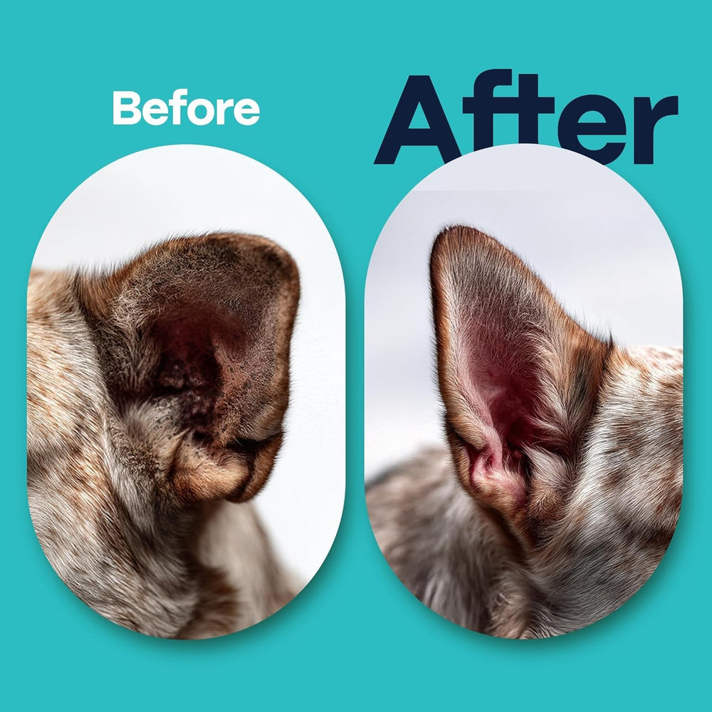 DOCO 100 count ear wipe pack for ongoing pet ear hygiene