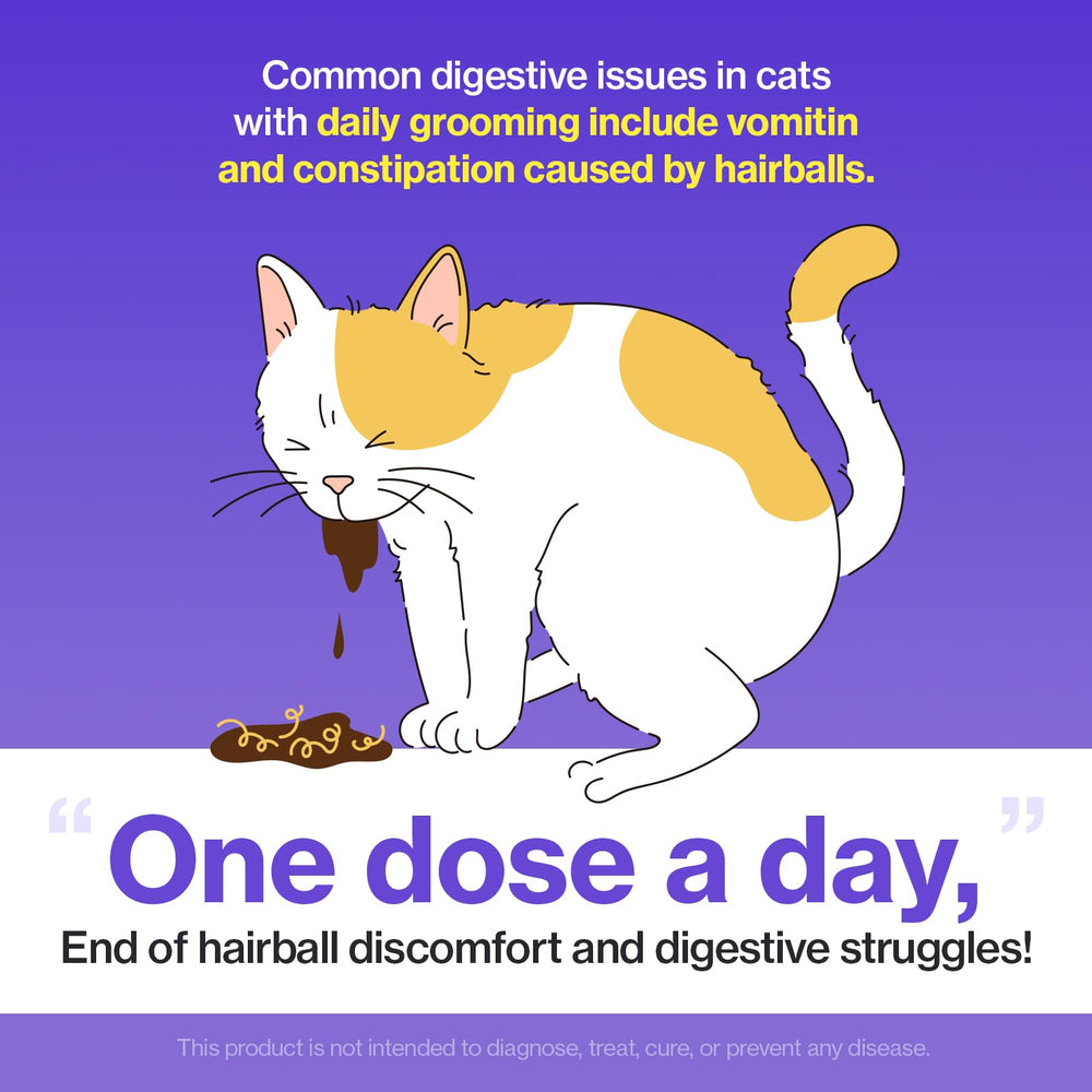 Doctor By HB Care omega-3 chitosan formula image suggests digestive support possibilities.