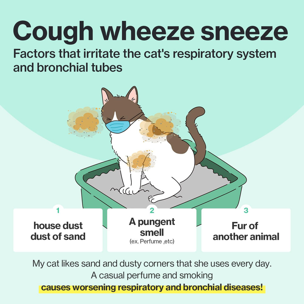 Doctor By environmental factors context shows impact on feline breathing