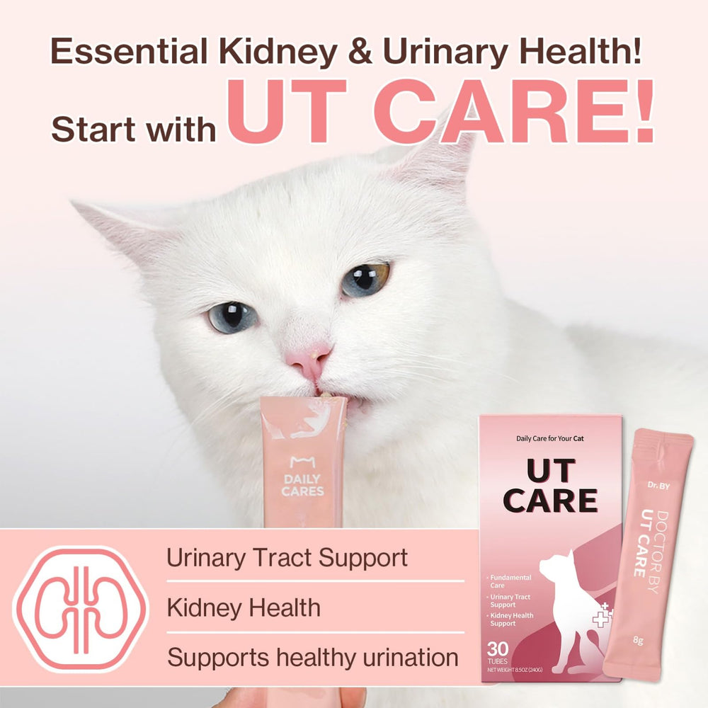 Doctor By UT Care curcumin turmeric image highlights mineral balance support for a comfortable urinary tract.