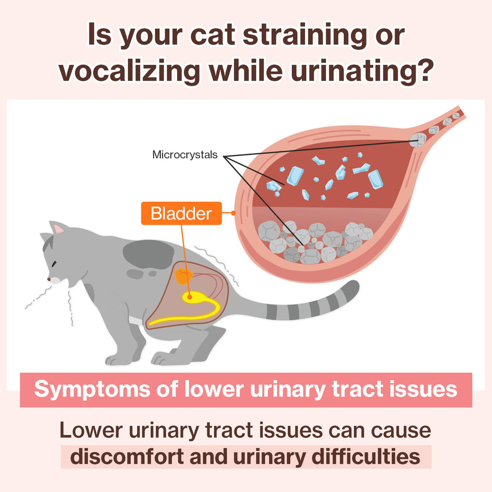 Doctor By UT Care individually packaged serving highlights convenient daily dose for cats.