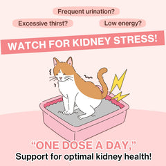 Doctor By UT Care cranberry Pacran image highlights science-backed urinary balance potential.