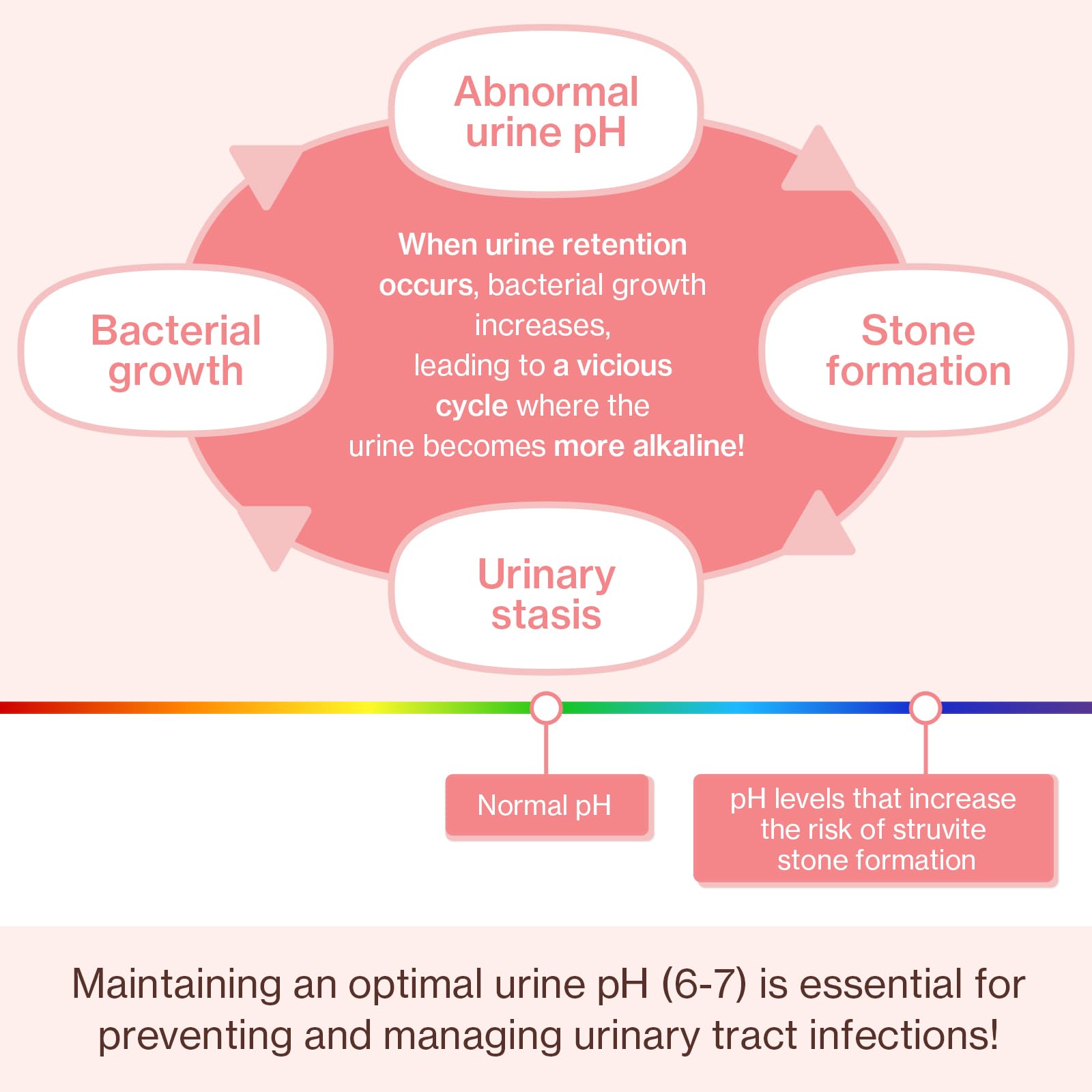 Doctor By UT Care taurine image suggests heart and eye-friendly nutritional support for cats.