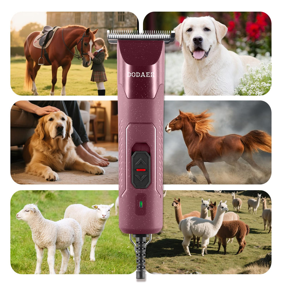 DODAER 120-inch power cord provides flexible reach for larger grooming areas.
