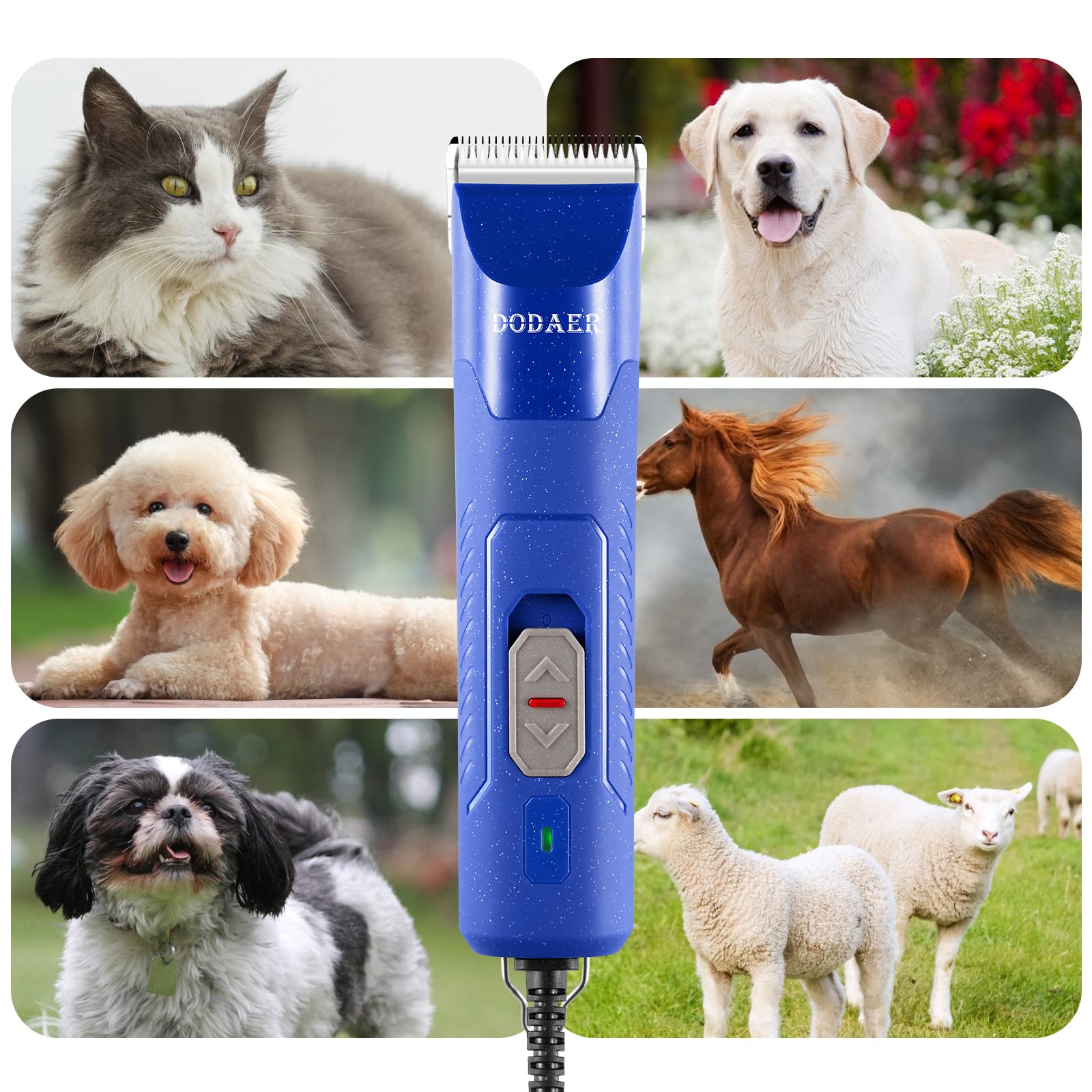 DODAER cleaning brush and oil ensure simple maintenance.