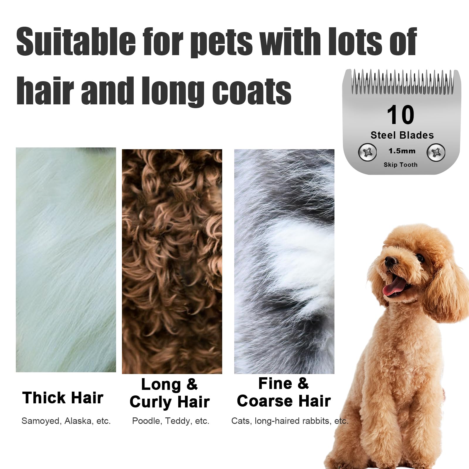 DODAER long coat pet grooming scene shows effective thick hair cutting