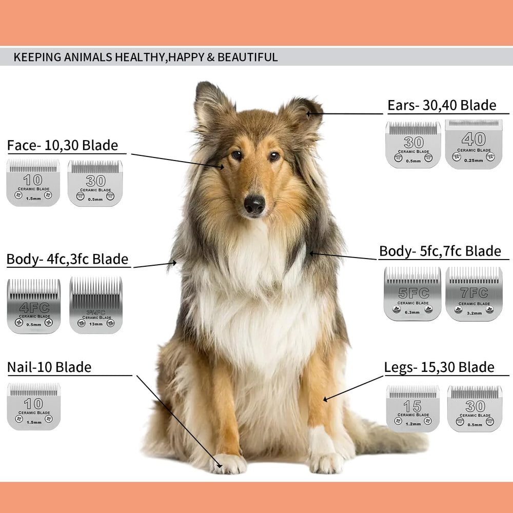 DODAER low-noise grooming clipper in use for calm pets
