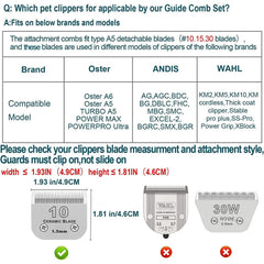DODAER stainless-steel color guide combs stored in a compact box for organization.