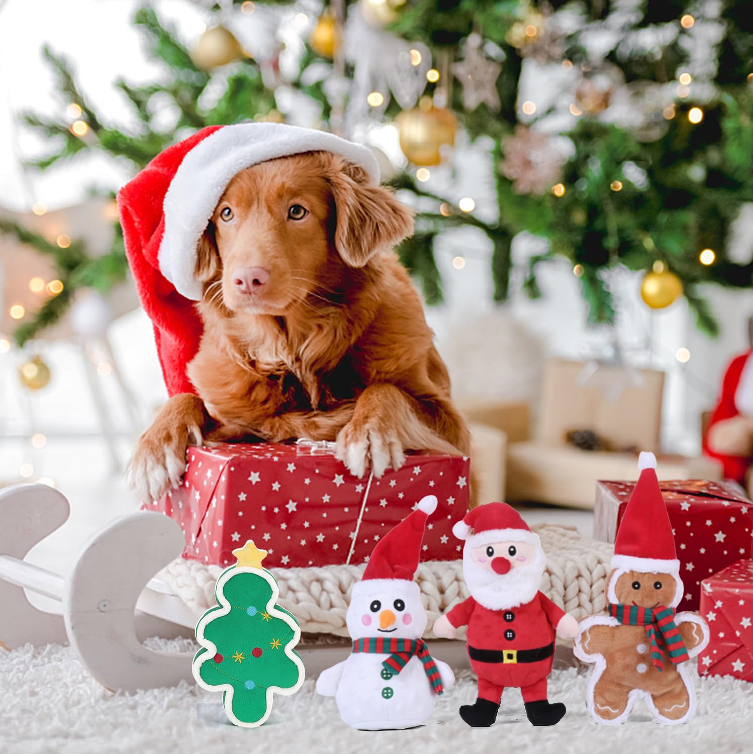 DODODOLA gift-ready packaging—perfect stocking stuffer for dogs