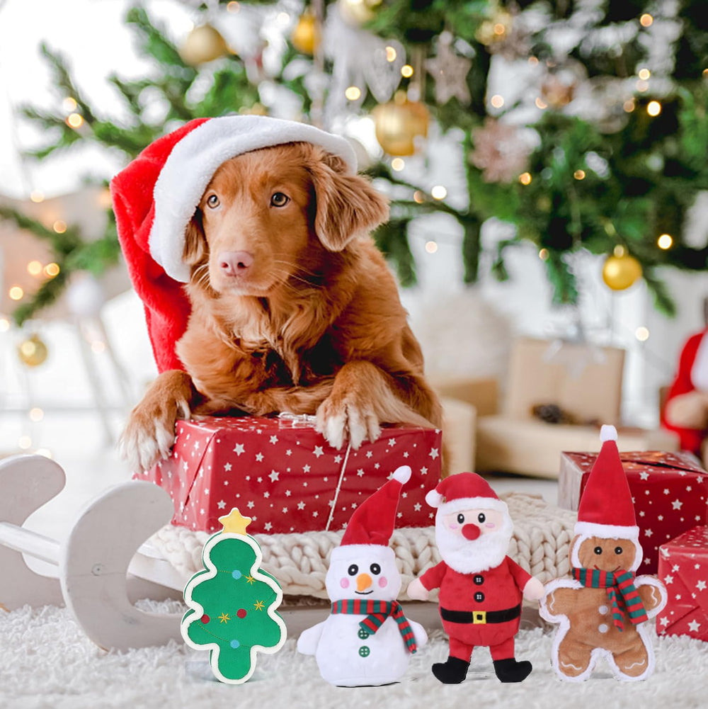 DODODOLA gift-ready packaging—perfect stocking stuffer for dogs