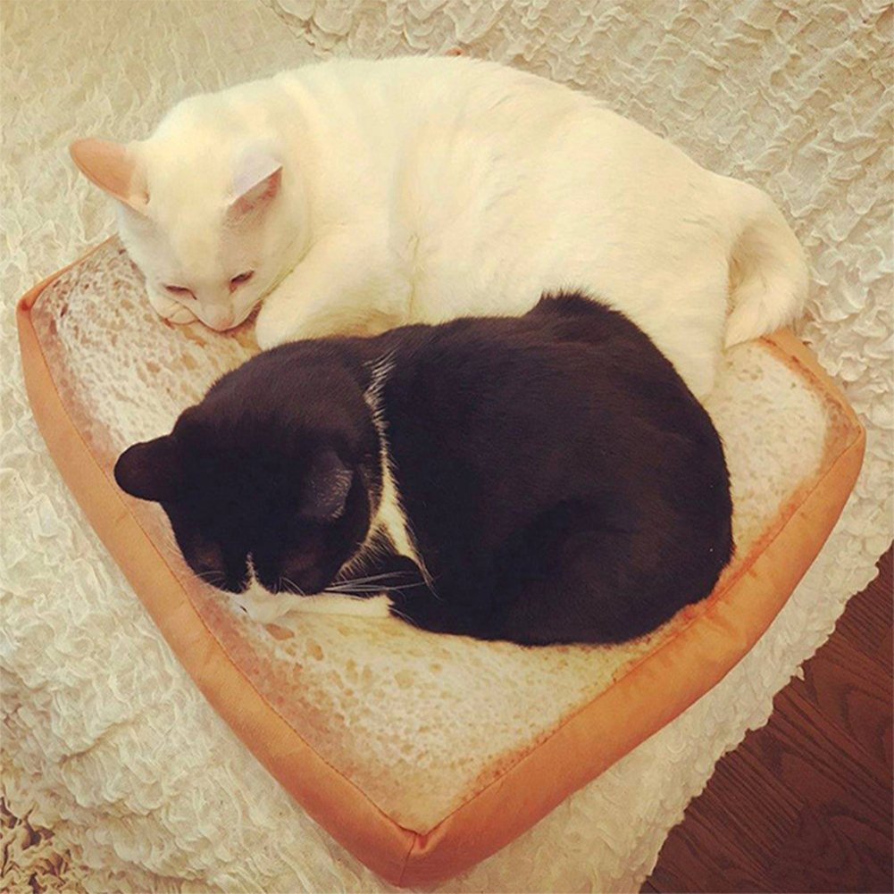 Dofover toast pattern design attracts pets to settle in comfortably.