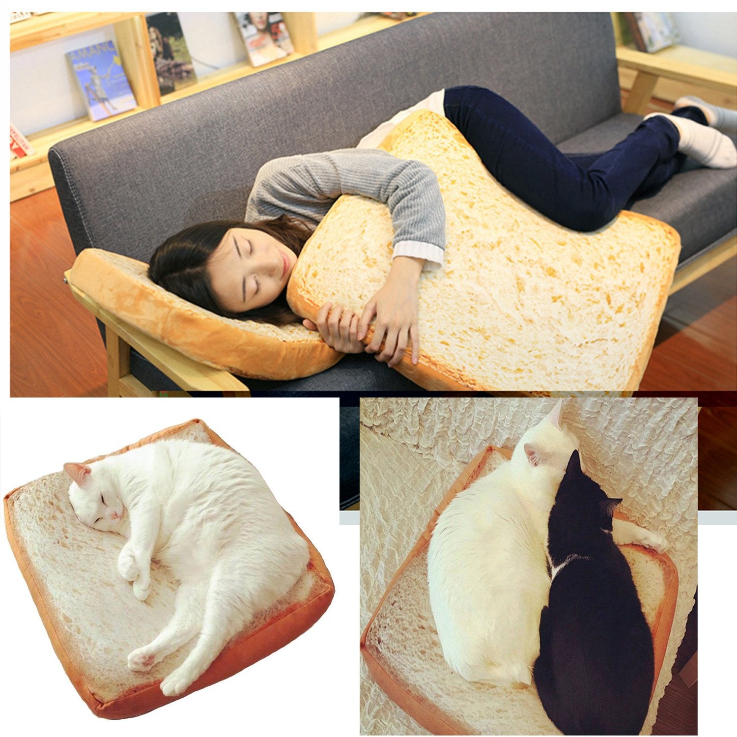 Dofover two size options fit small cats to medium dogs.