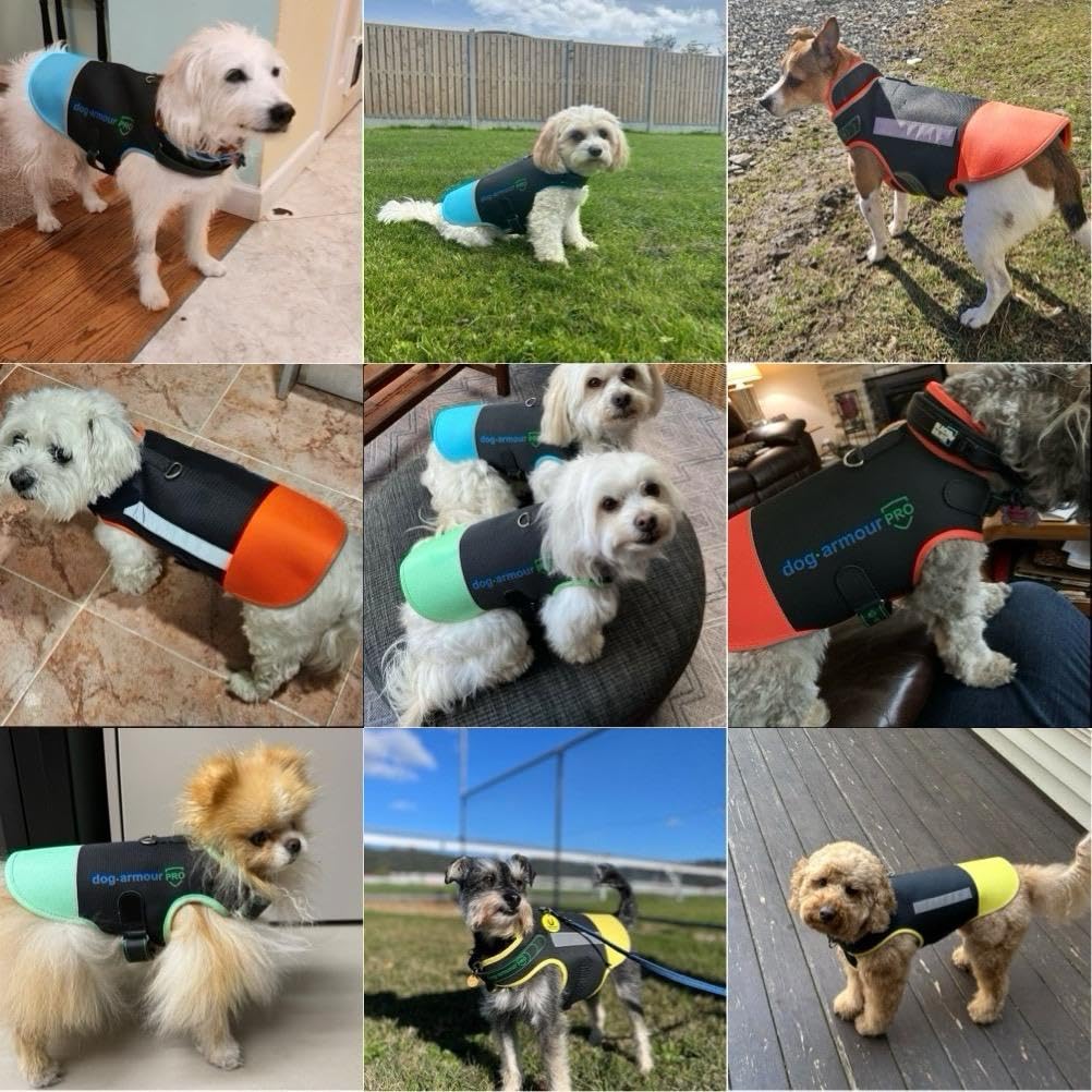 dog armour PRO climacool breathable fabric keeps dogs cool and comfortable on warm walks