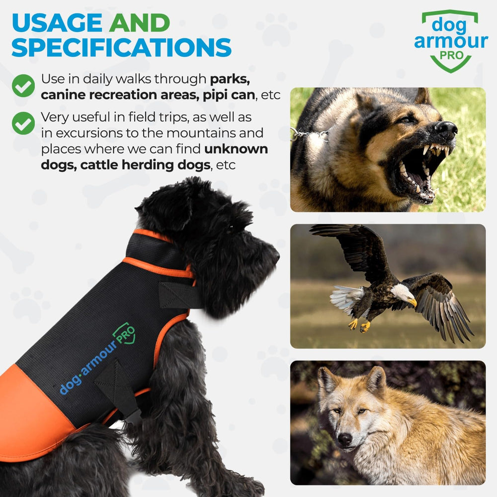 dog armour PRO reflective strip detail highlights high visibility for safer nighttime strolls