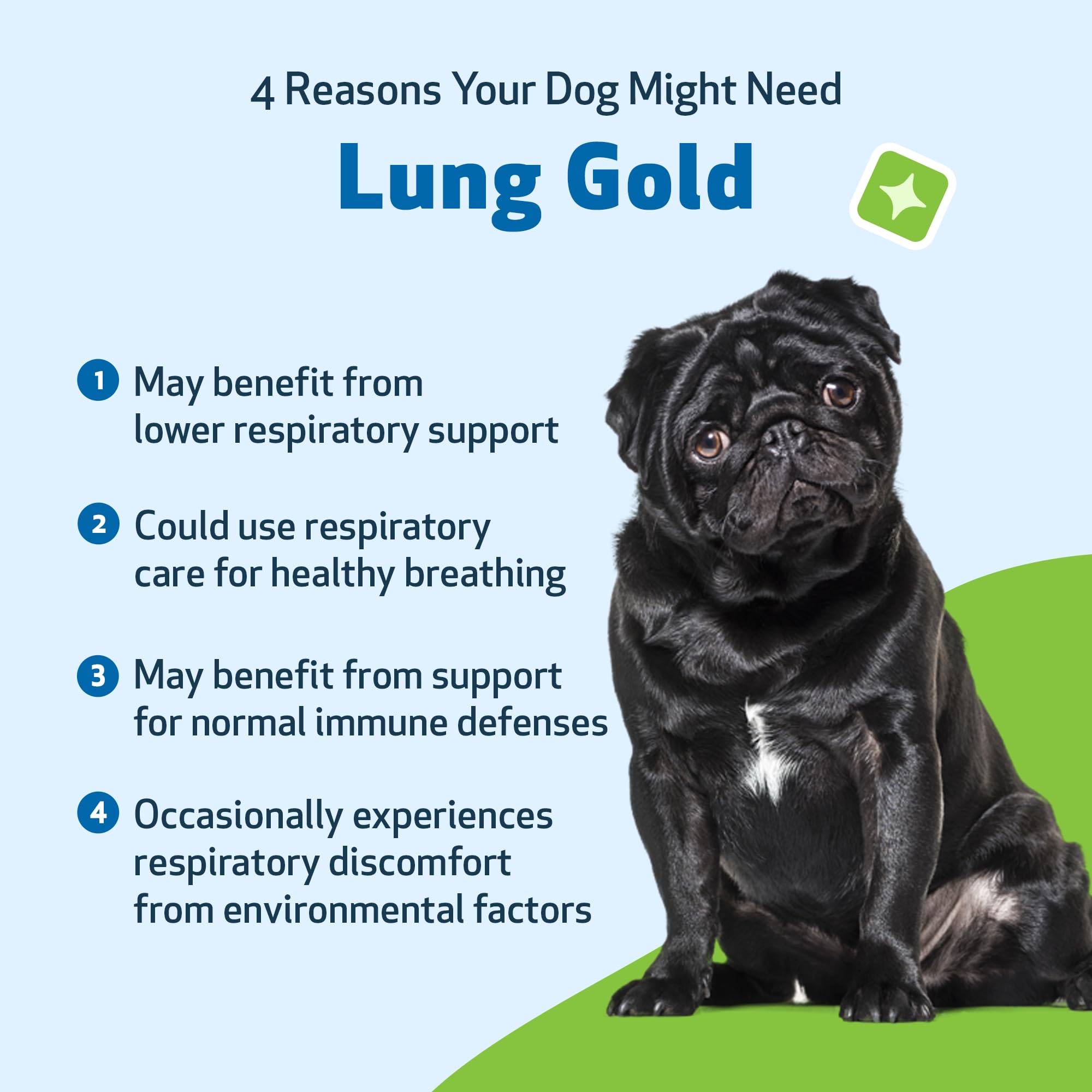 Dog image demonstrates Lung Gold liquid for easy, stress-free administration.