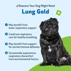 Dog image demonstrates Lung Gold liquid for easy, stress-free administration.